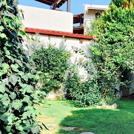 Trikorfo Bungalows Gerakini Exteriér fotografie